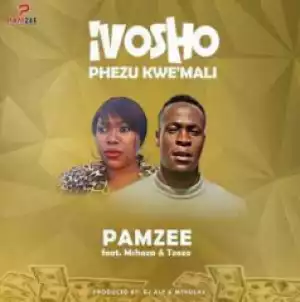 Pamzee - Ivosho Phezu Kwemali ft. Mshoza & Tzozo